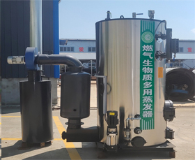 立式生物质蒸汽发生器