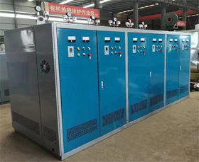 立式电加热蒸汽发生器